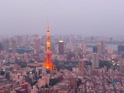 851  Tokyo Tower.JPG